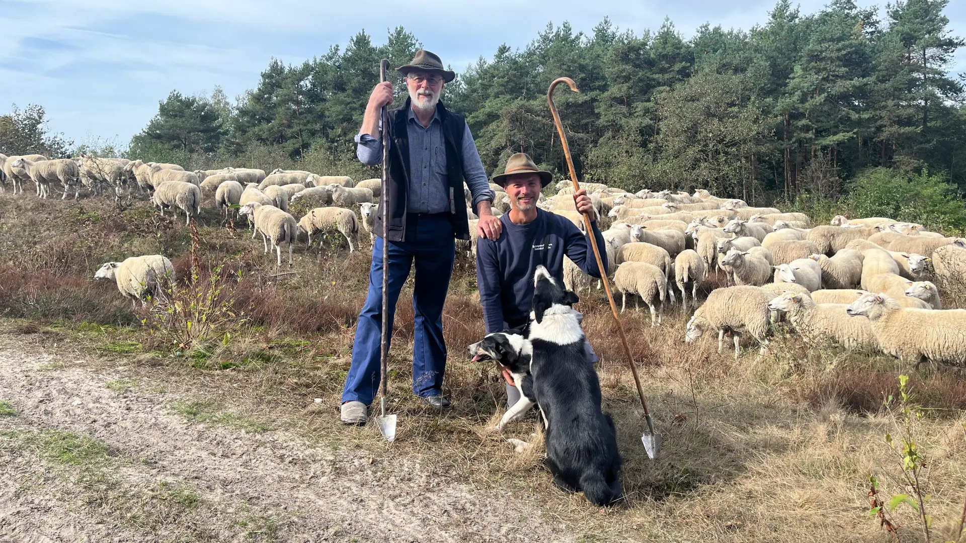 Hoofdafbeelding voor artikel Limburgse herders vragen met…