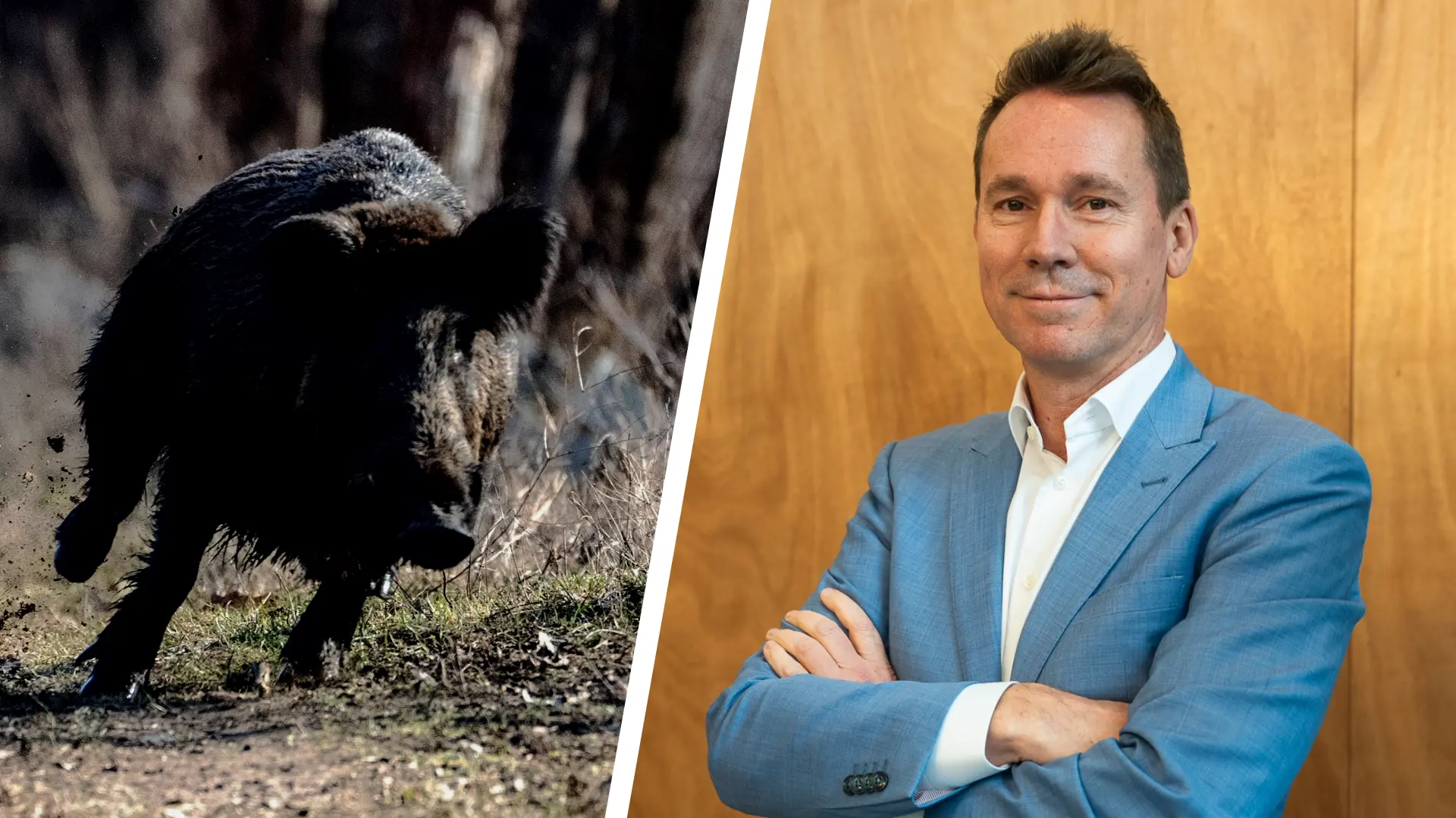 Hoofdafbeelding voor artikel Minister Brouns wil meer drukjachten…