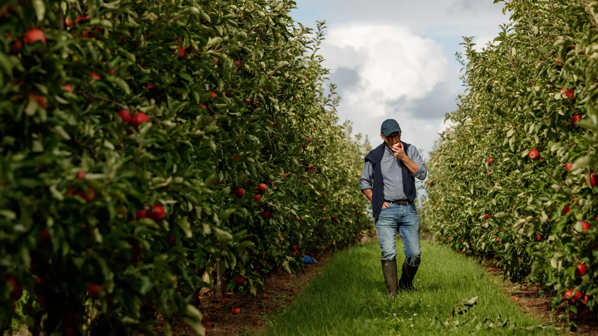 Hoofdafbeelding voor artikel Limburgse fruitteler Karel…