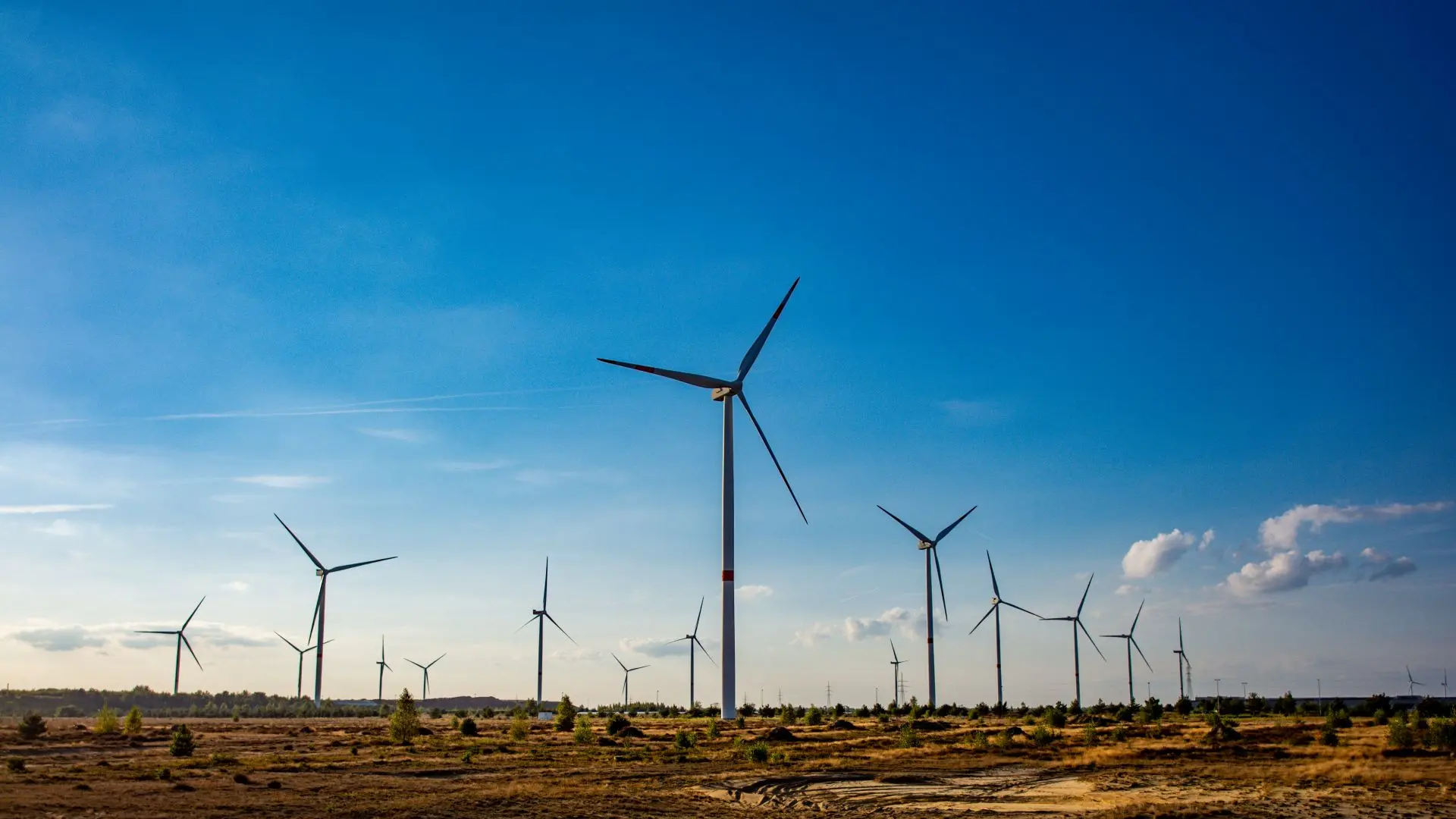 Hoofdafbeelding voor artikel Genks EnergyVille opent nieuw…