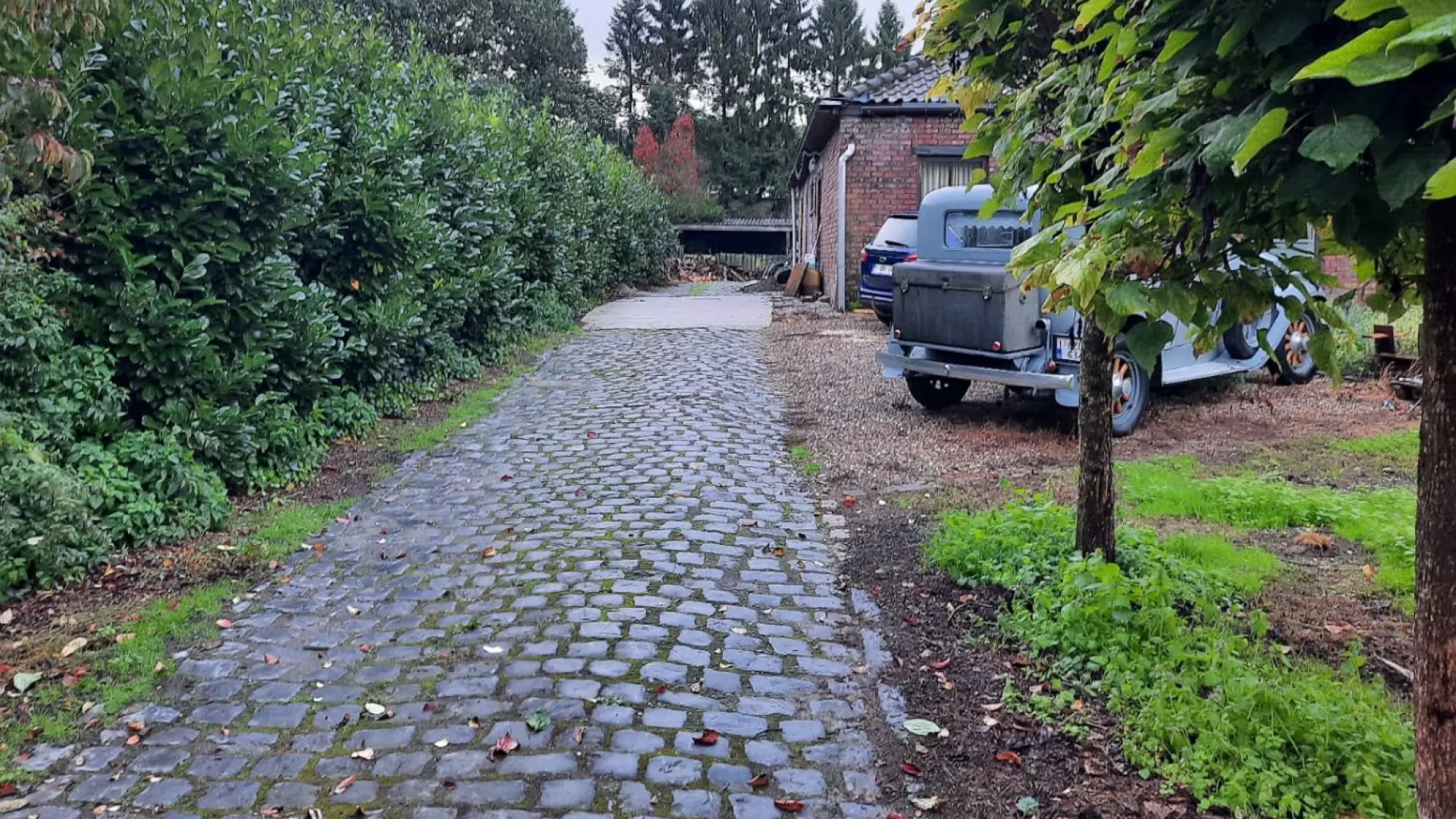 Hoofdafbeelding voor artikel Twee verdachten gearresteerd…