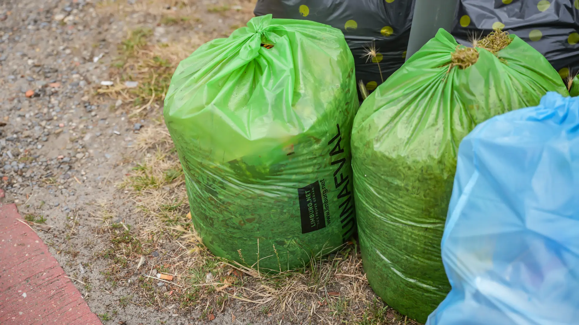 Limburgers produceren 70 kilo meer afval dan gemiddelde Vlaming, maar niet meer restafval