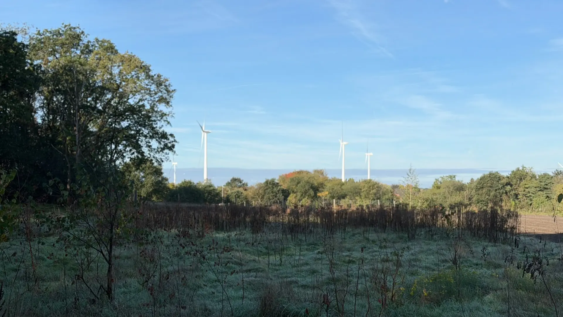 Hoofdafbeelding voor artikel Natuur kreunt na droge zomer,…