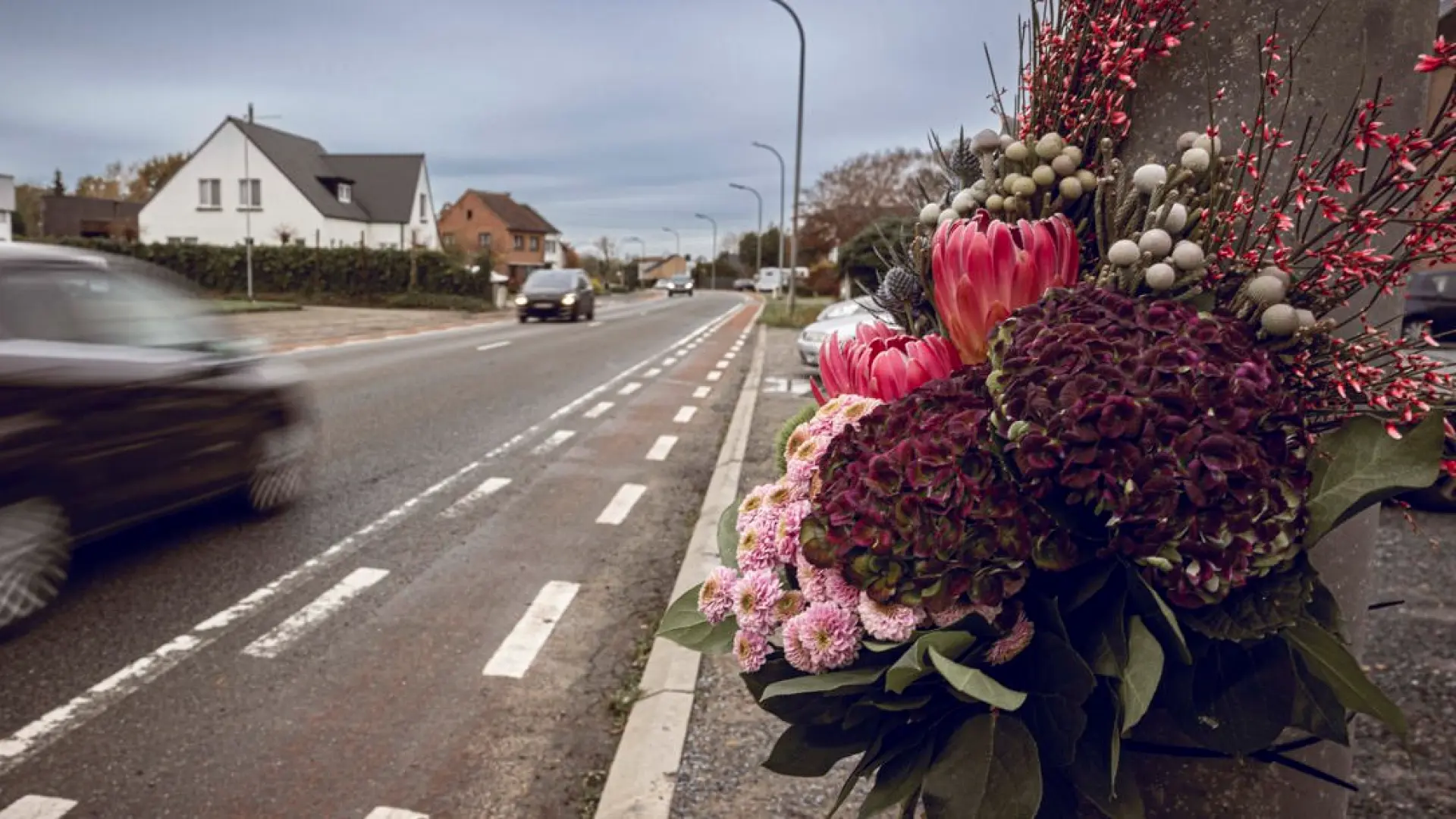 Hoofdafbeelding voor artikel Doodrijder van Els Smeyers…