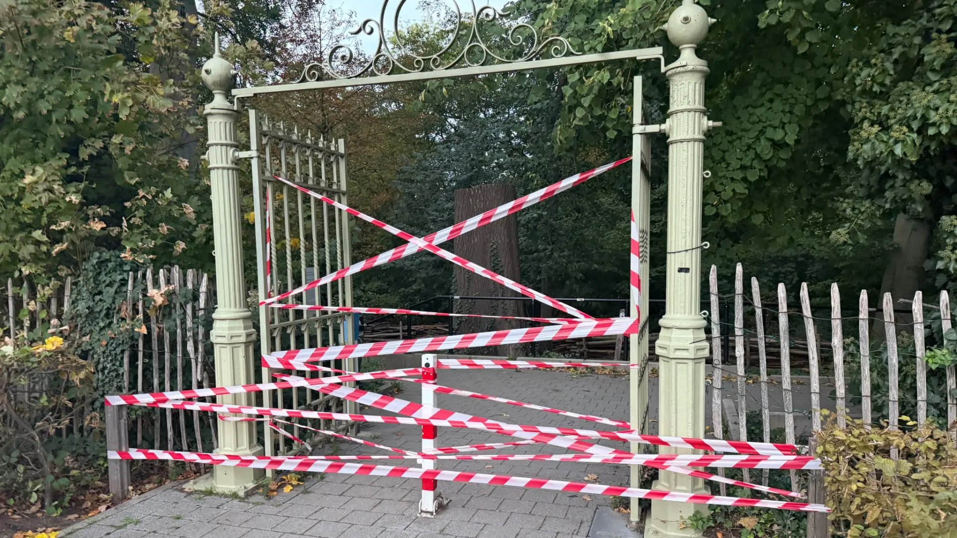 Hoofdafbeelding voor artikel Vrouw in levensgevaar nadat…