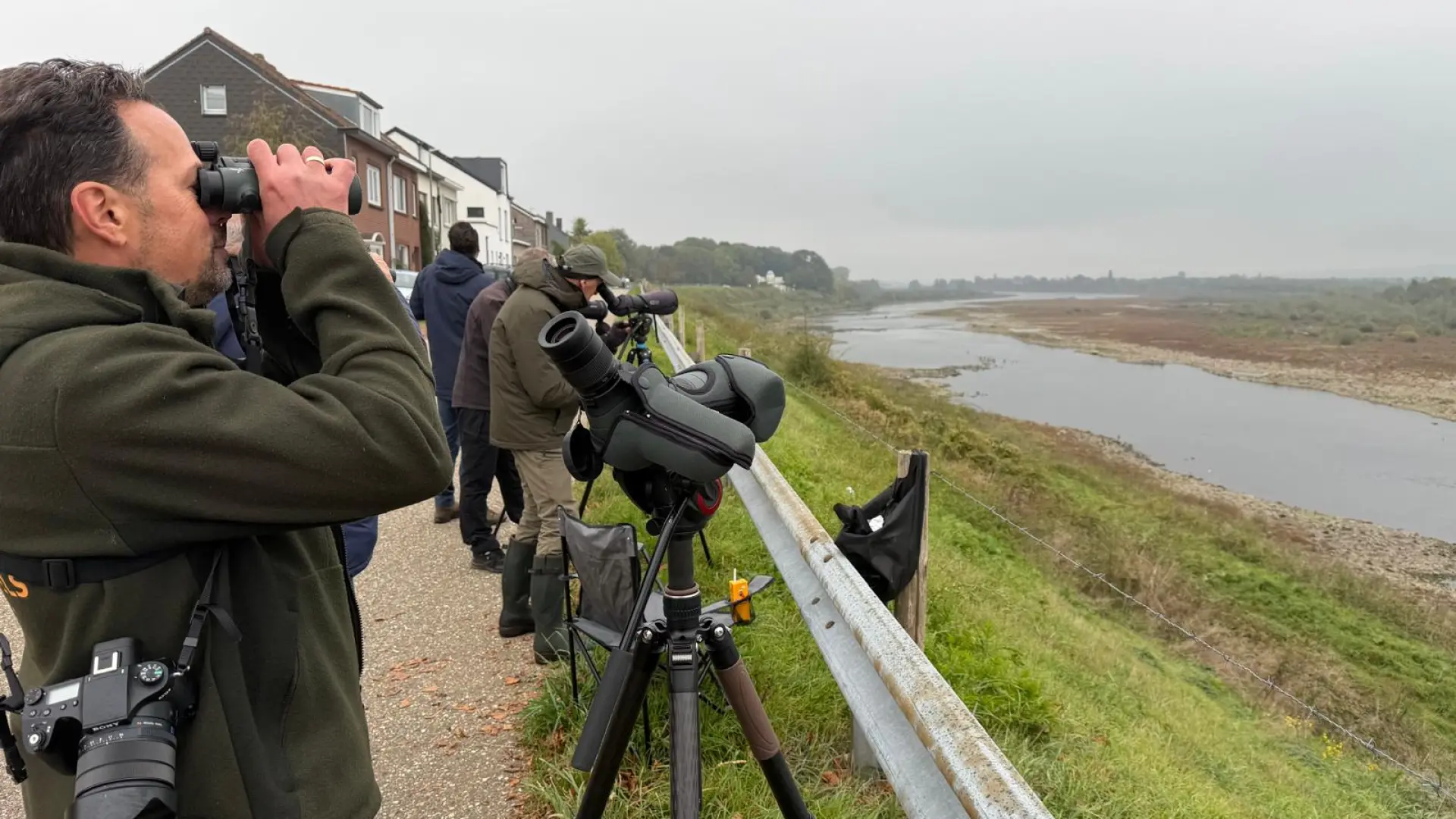 Hoofdafbeelding voor artikel Limburgse vogelpopulatie neemt…