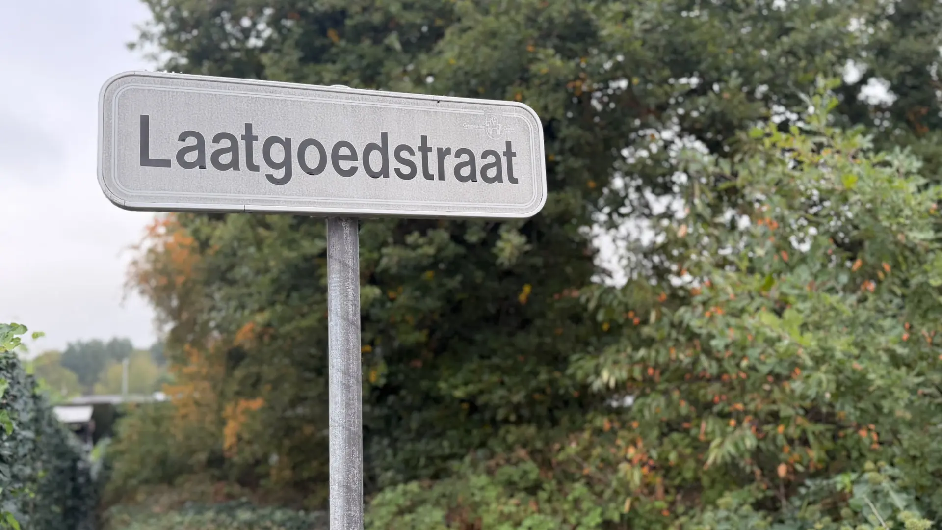 Hoofdafbeelding voor artikel Laatgoedstraat in Genk blijkt…