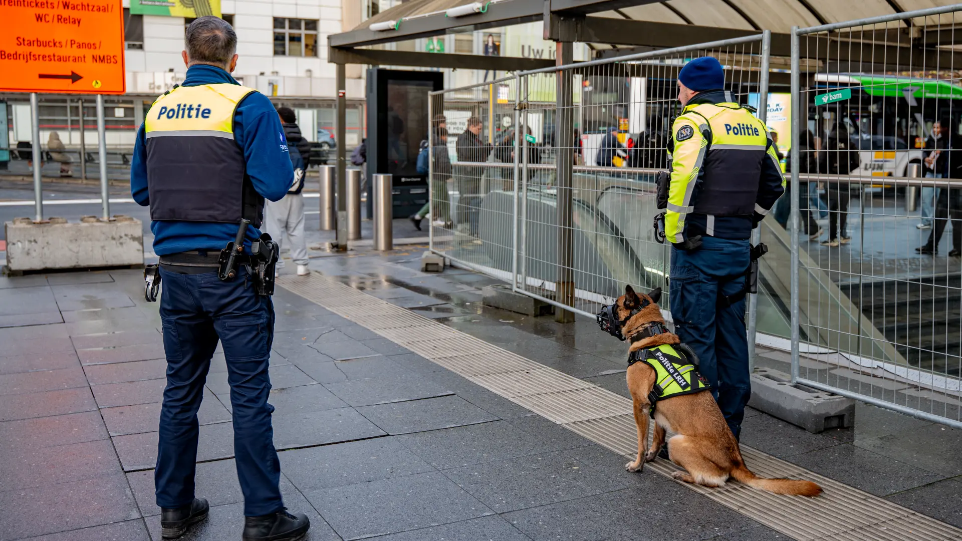 Hoofdafbeelding voor artikel Limburgs spoedoverleg tegen…