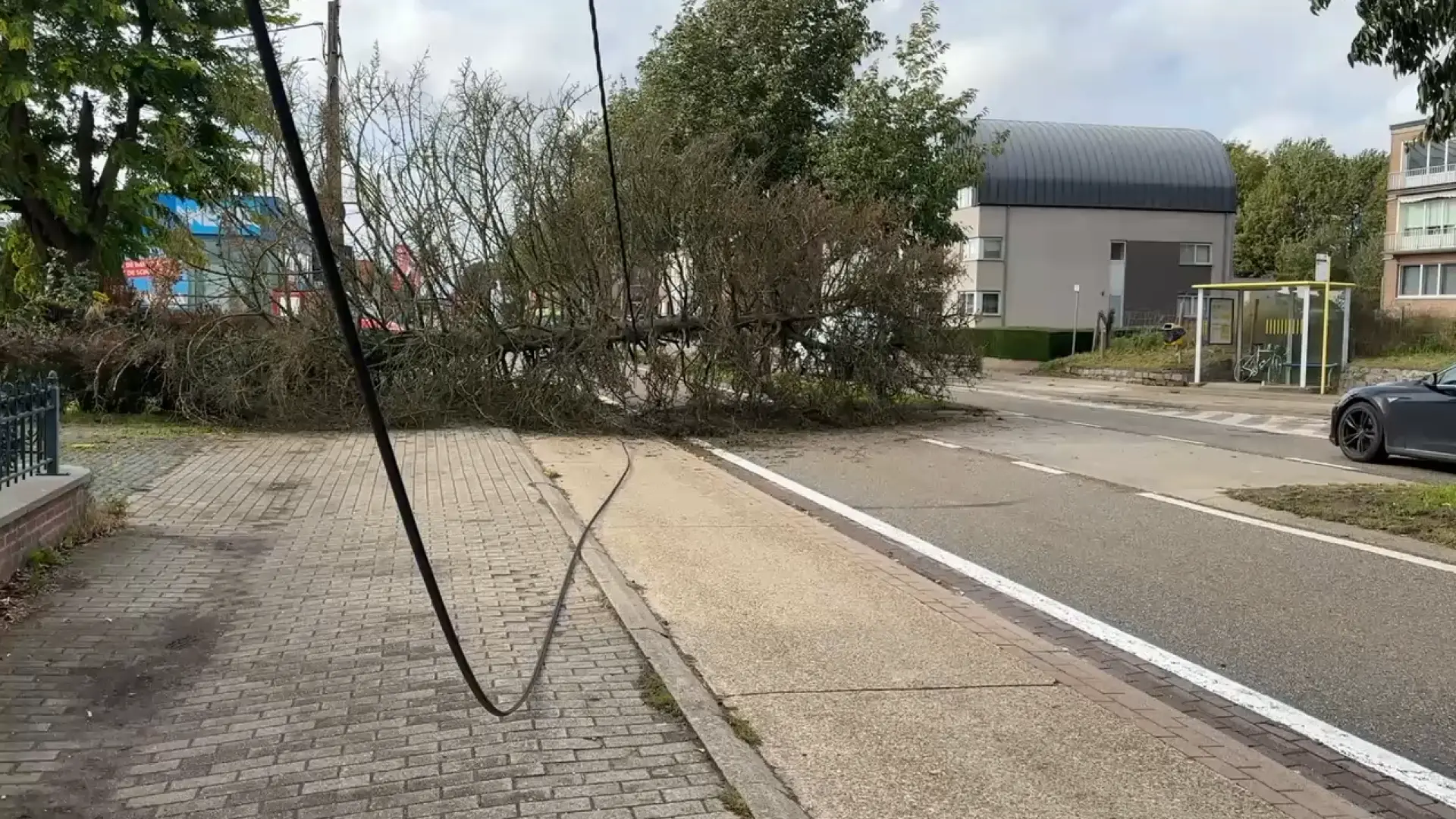 Hoofdafbeelding voor artikel Storm Austen trekt over Limburg:…