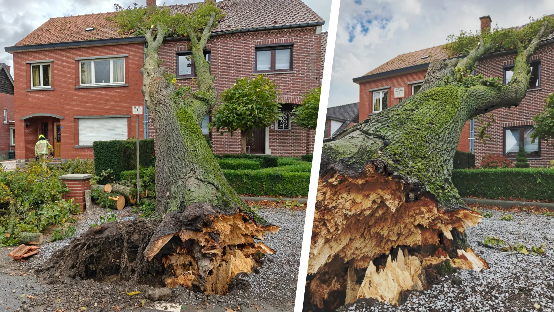 Hoofdafbeelding voor artikel Ook vannacht veel stormschade…