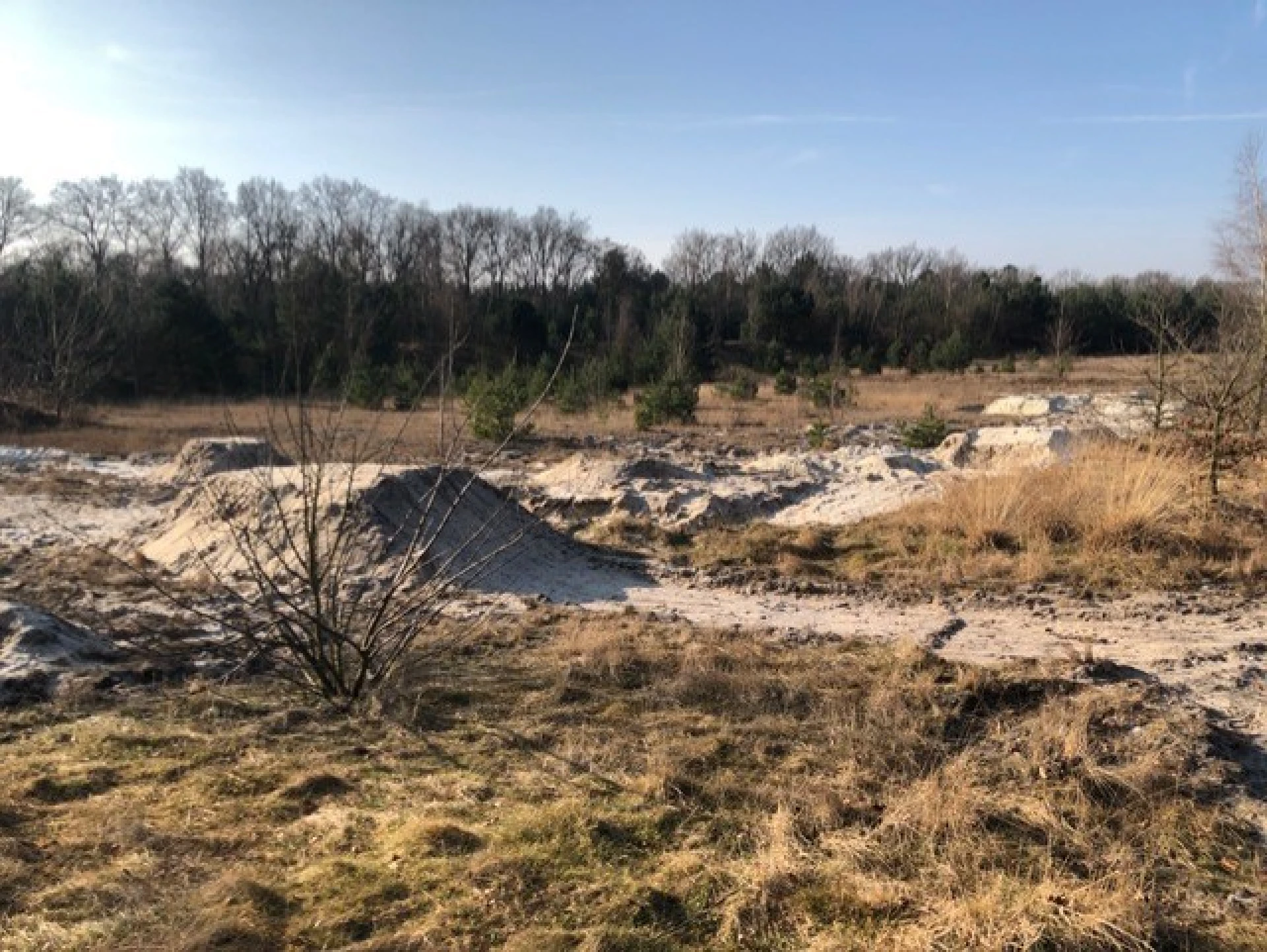 Natuurpunt Lommel dient klacht in voor vernielingen aan natuurgebied Balimheide