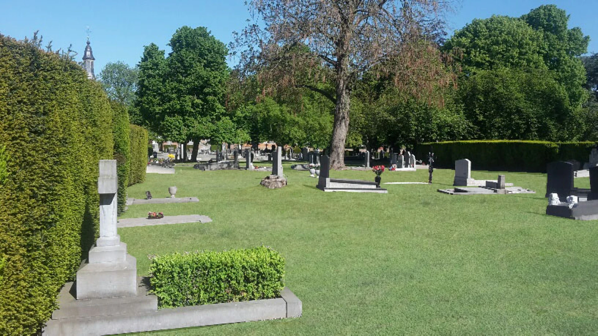 Sint-Truiden kiest voor meer groen op kerkhoven