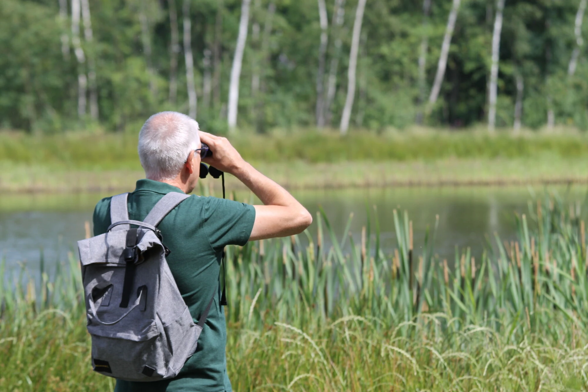 De Wijers wil erkenning als landschapspark en roept hulp in van inwoners