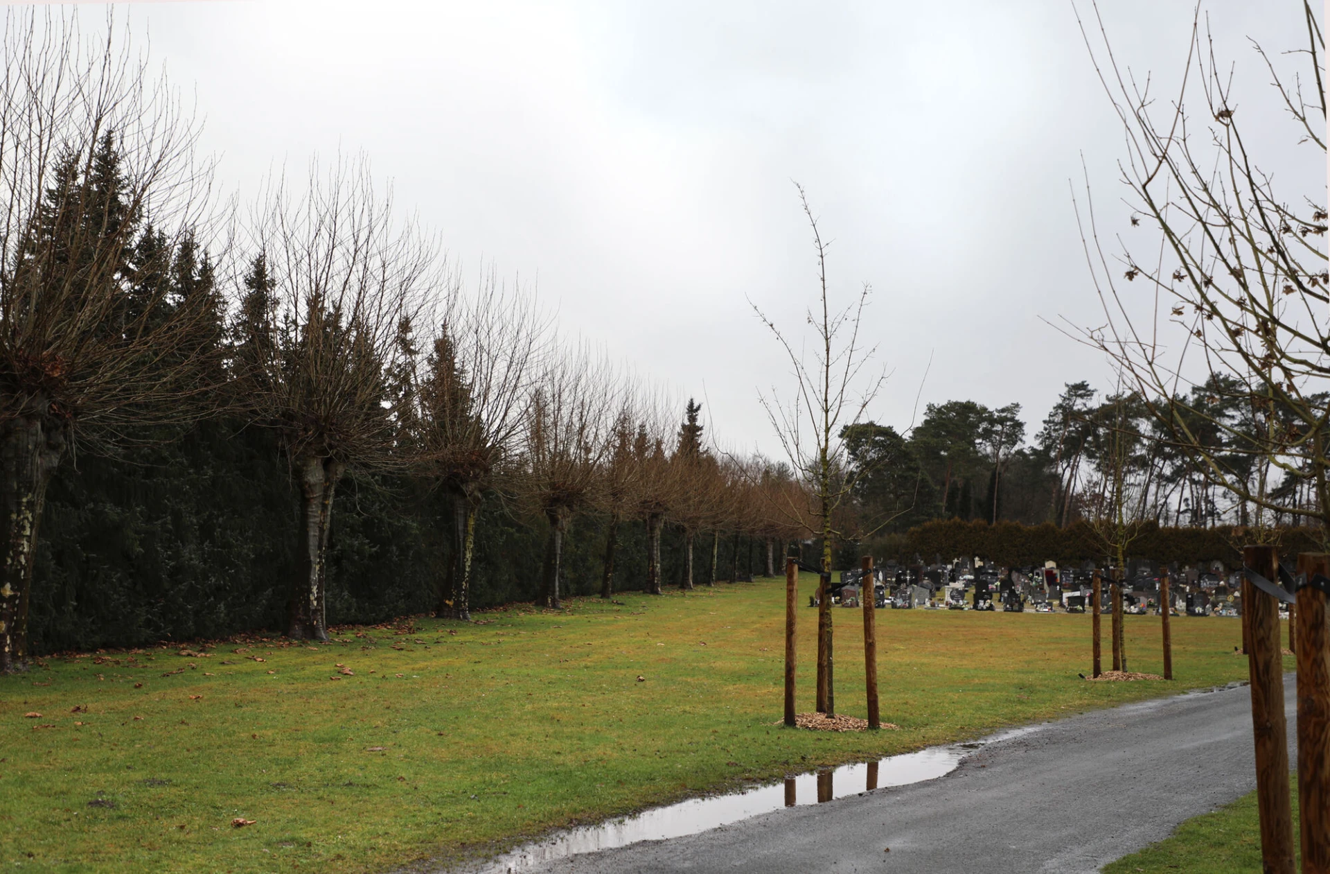 Kerkhof van Houthalen wordt groen begraafpark
