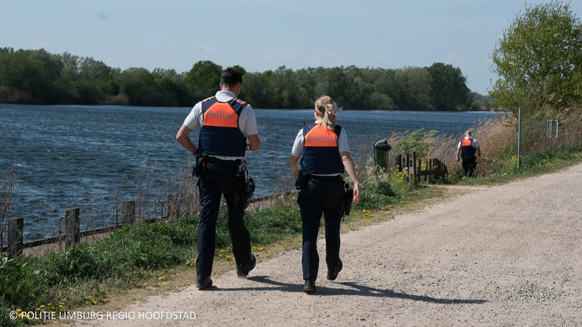 Boete tot 350 euro voor loslopende honden aan het Schulensmeer