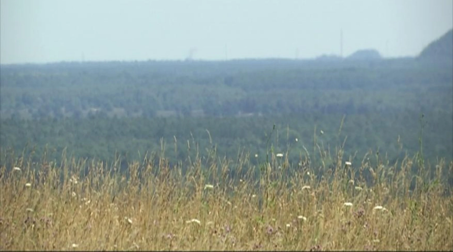 Code rood in Limburgse natuur: extreem hoog brandgevaar