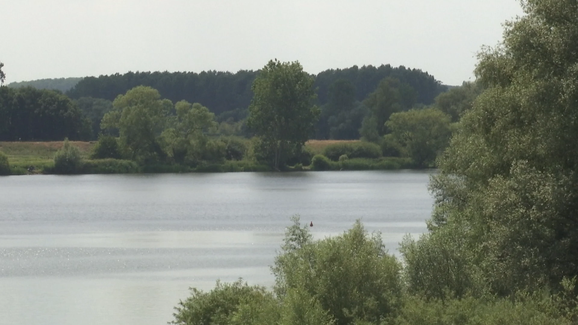 Minder bomen gekapt en extra bos aan Schulensmeer