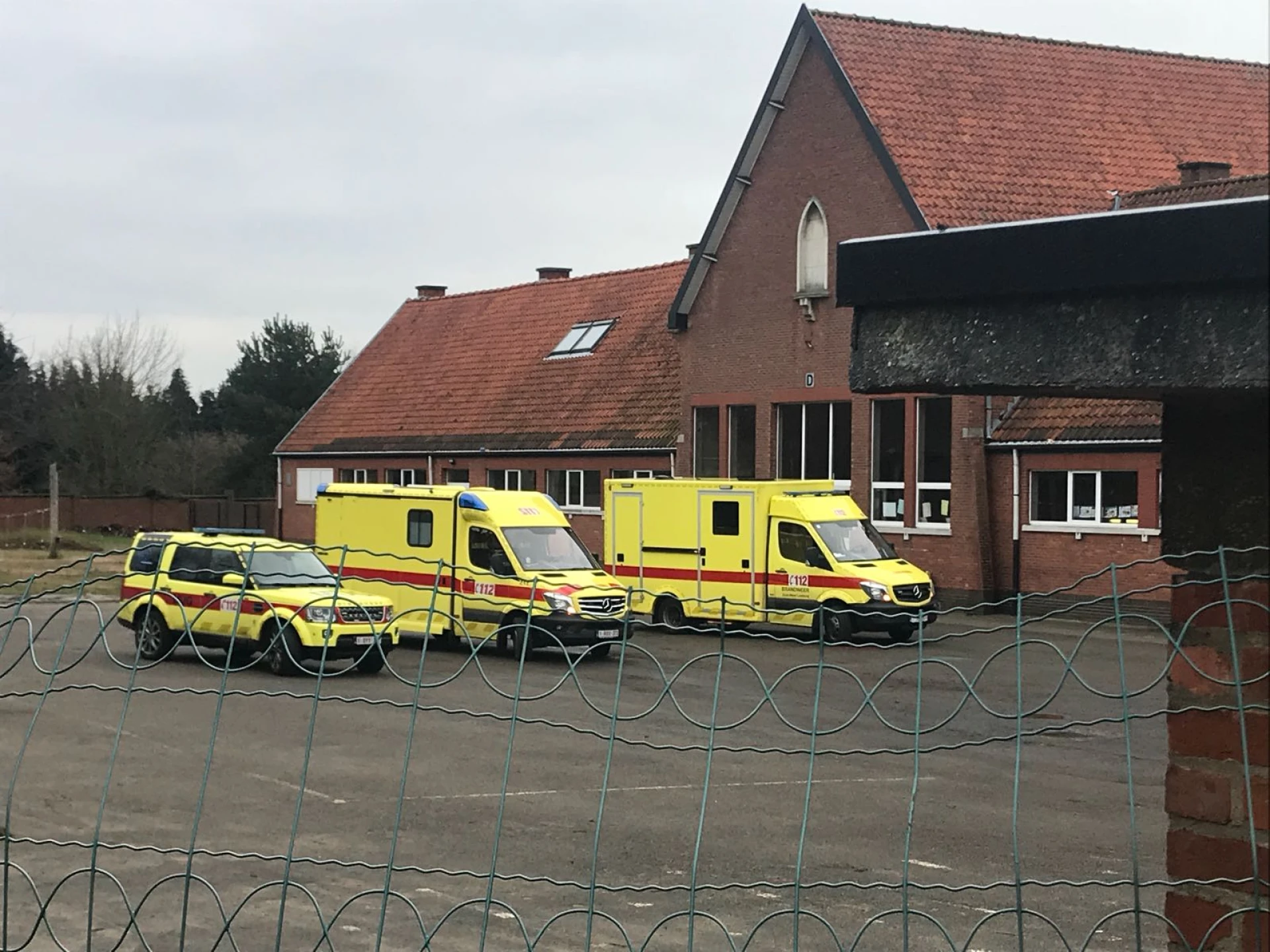 12 kinderen van lagere school Beringen gewond na aanval van hond