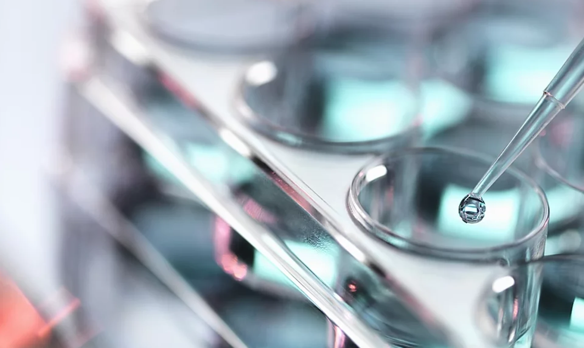 Limburgse start-up BioStrand haalt 2 miljoen euro op
