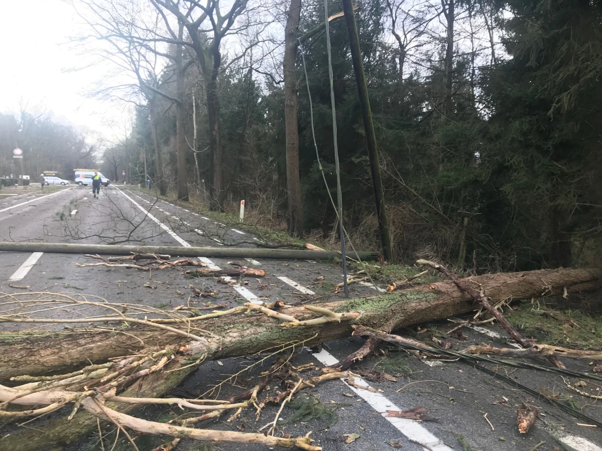 Omgewaaide bomen zorgen voor chaos op de weg