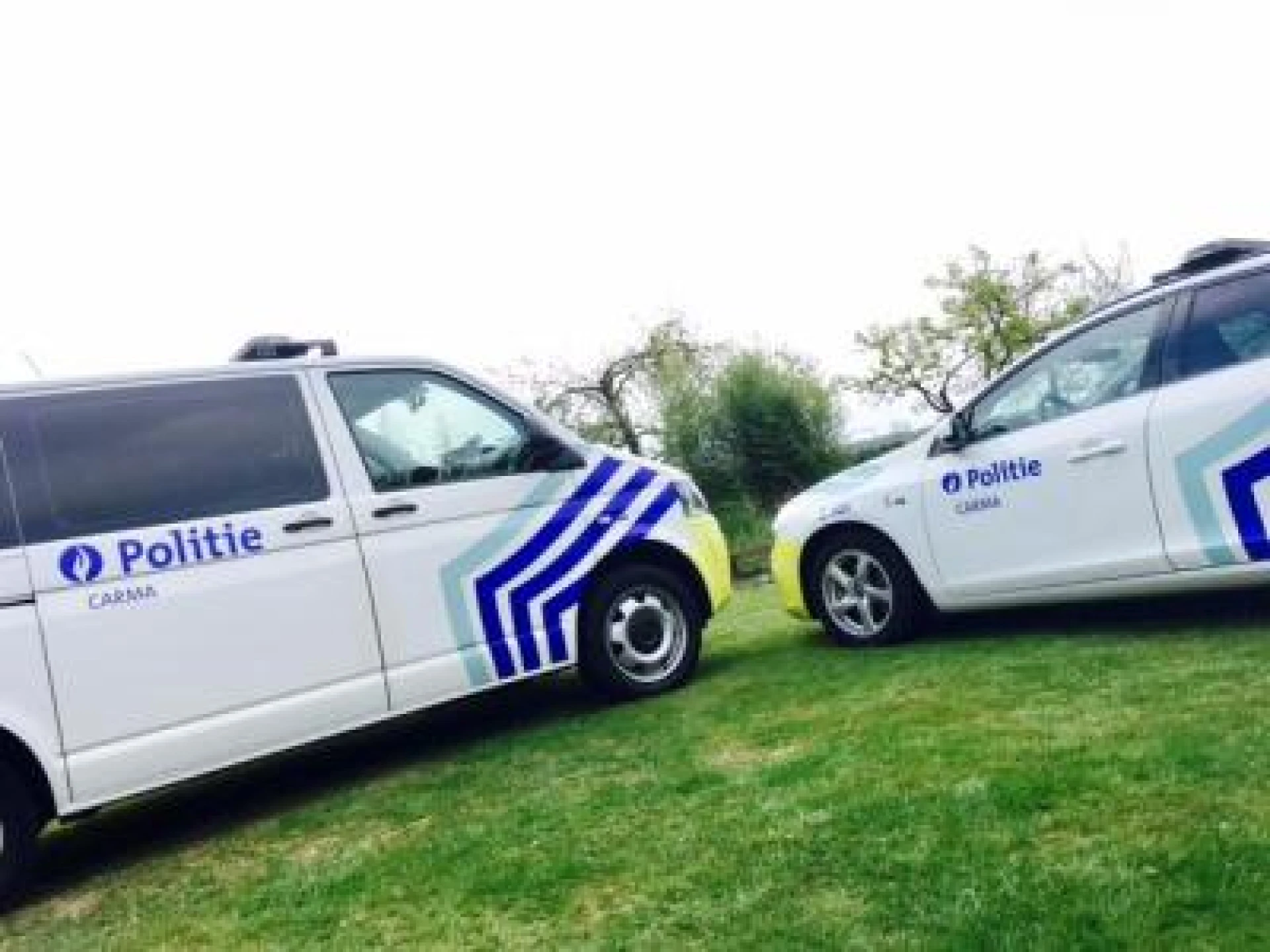 Brandweer bevrijdt honden uit oververhitte wagen