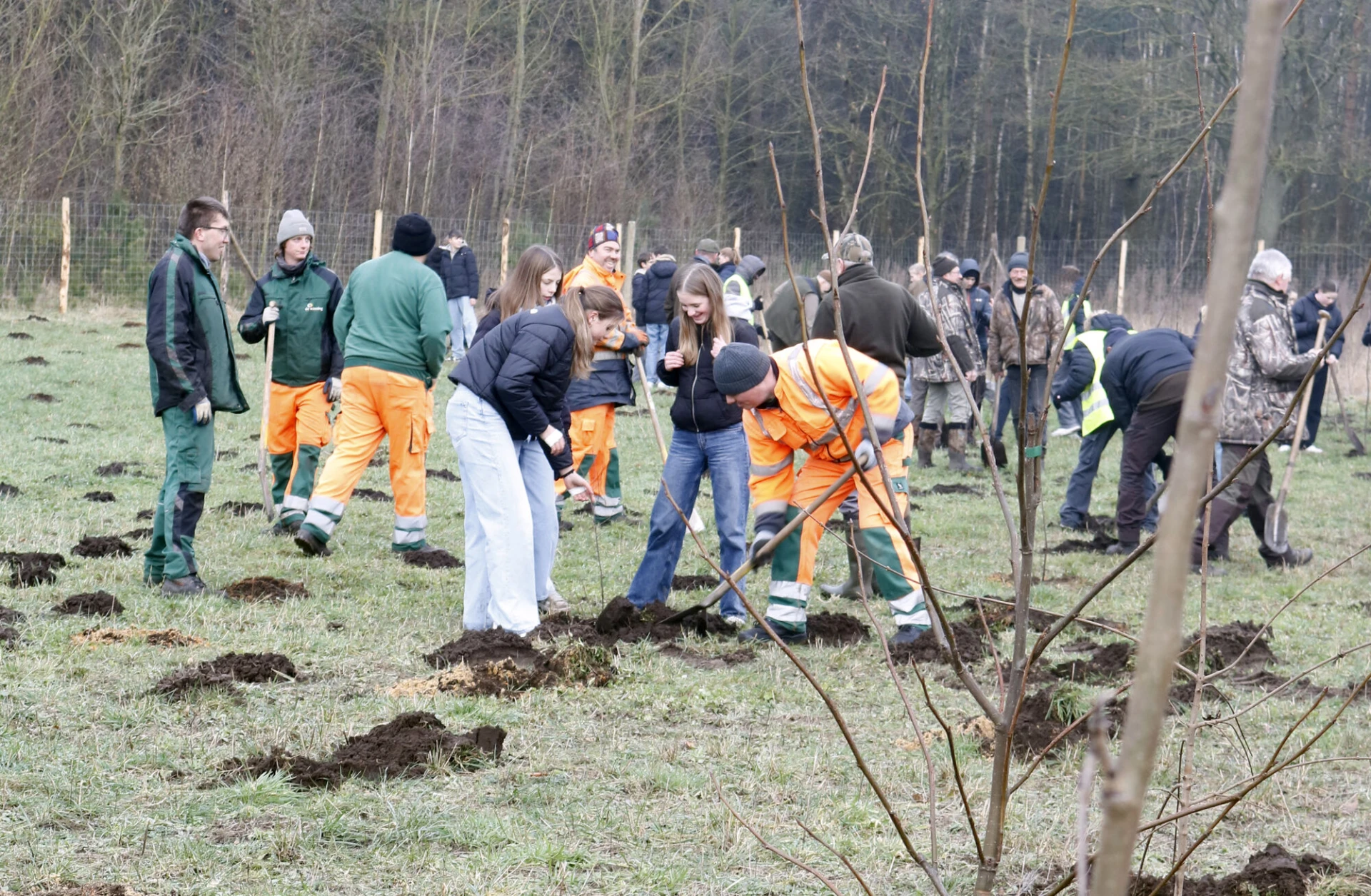 Leerlingen WICO scholengroep planten 650 bomen in Pelt