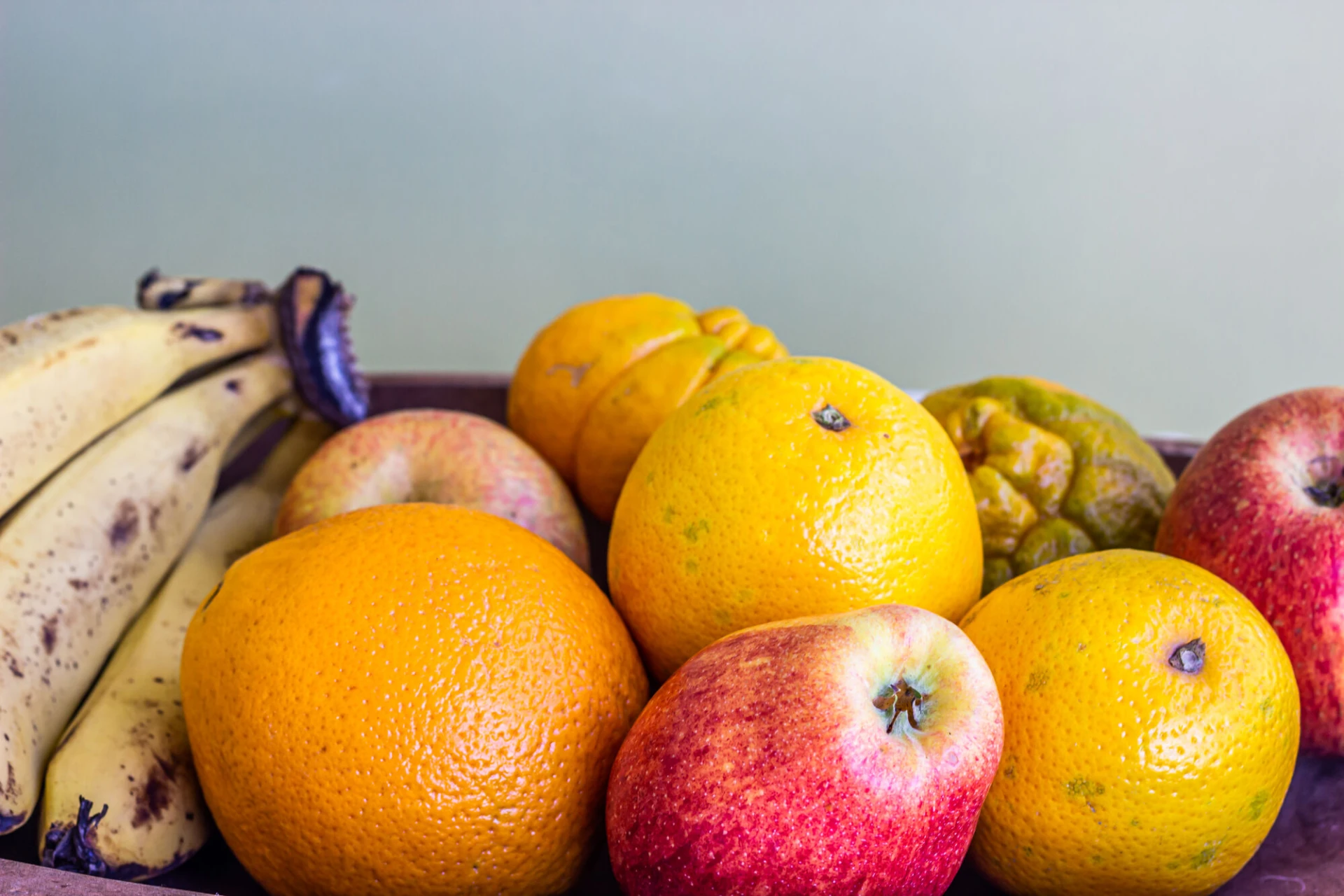 Fruit the Future: scholen en bedrijven bundelen krachten voor een gezondere toekomst