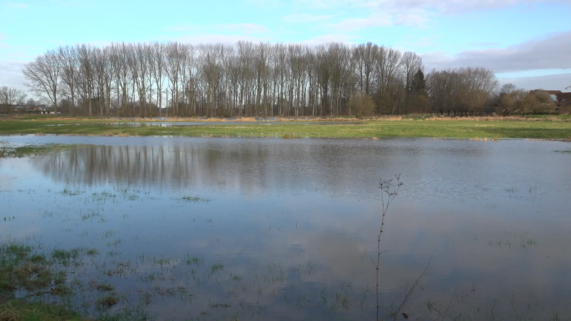Grondwaterstanden op normaal peil voor de tijd van het jaar