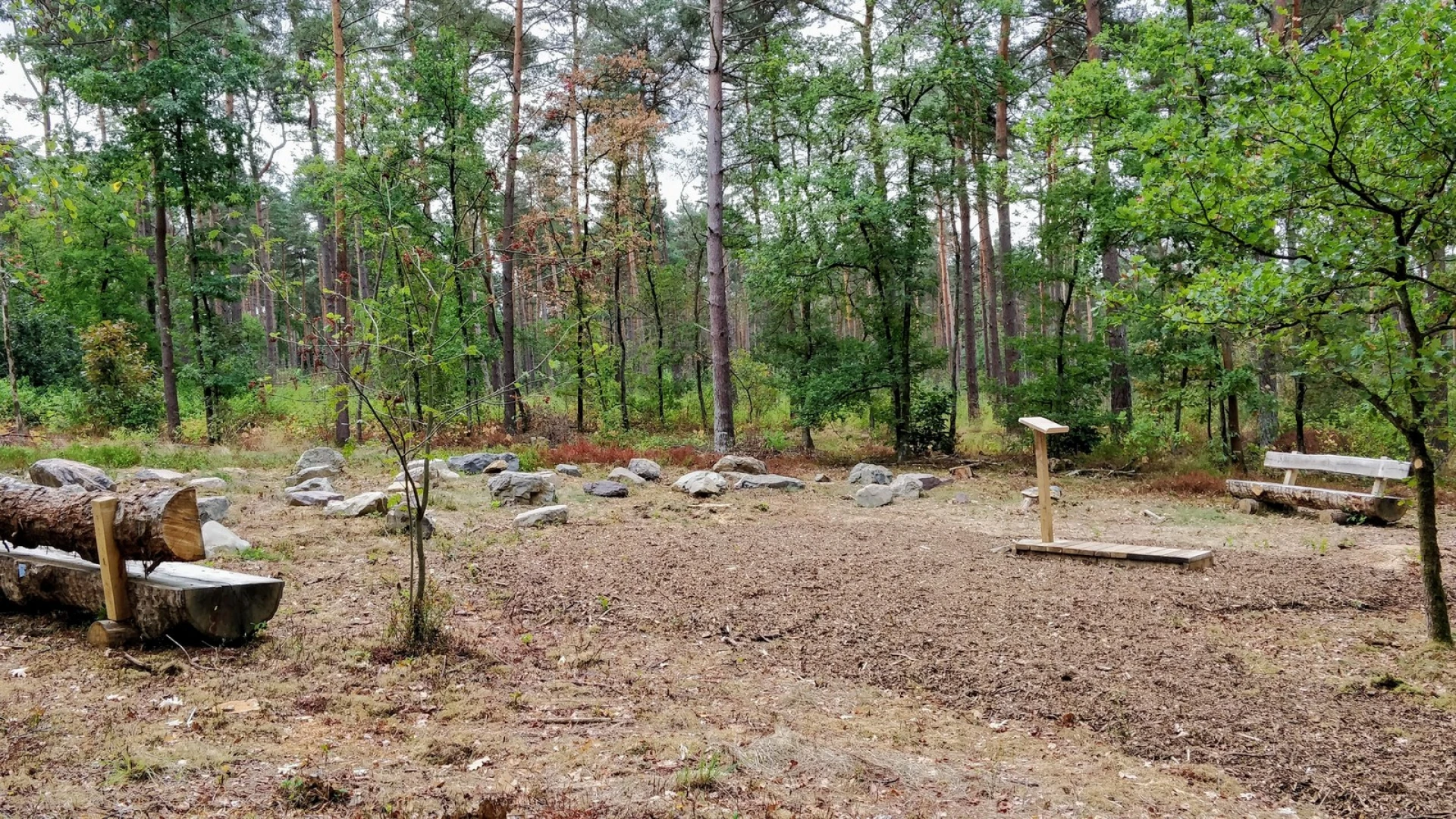 Natuur steeds populairder als laatste rustplaats