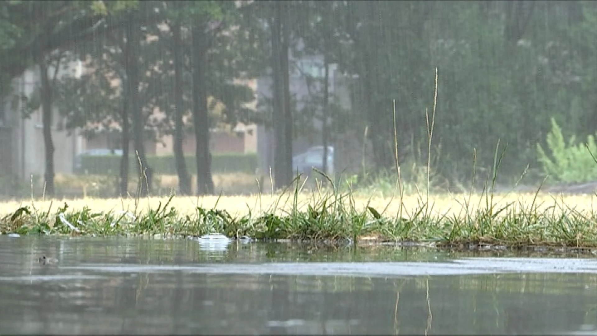 Grondwaterstanden hoger dan vorig jaar, maar in Limburg nog steeds te laag