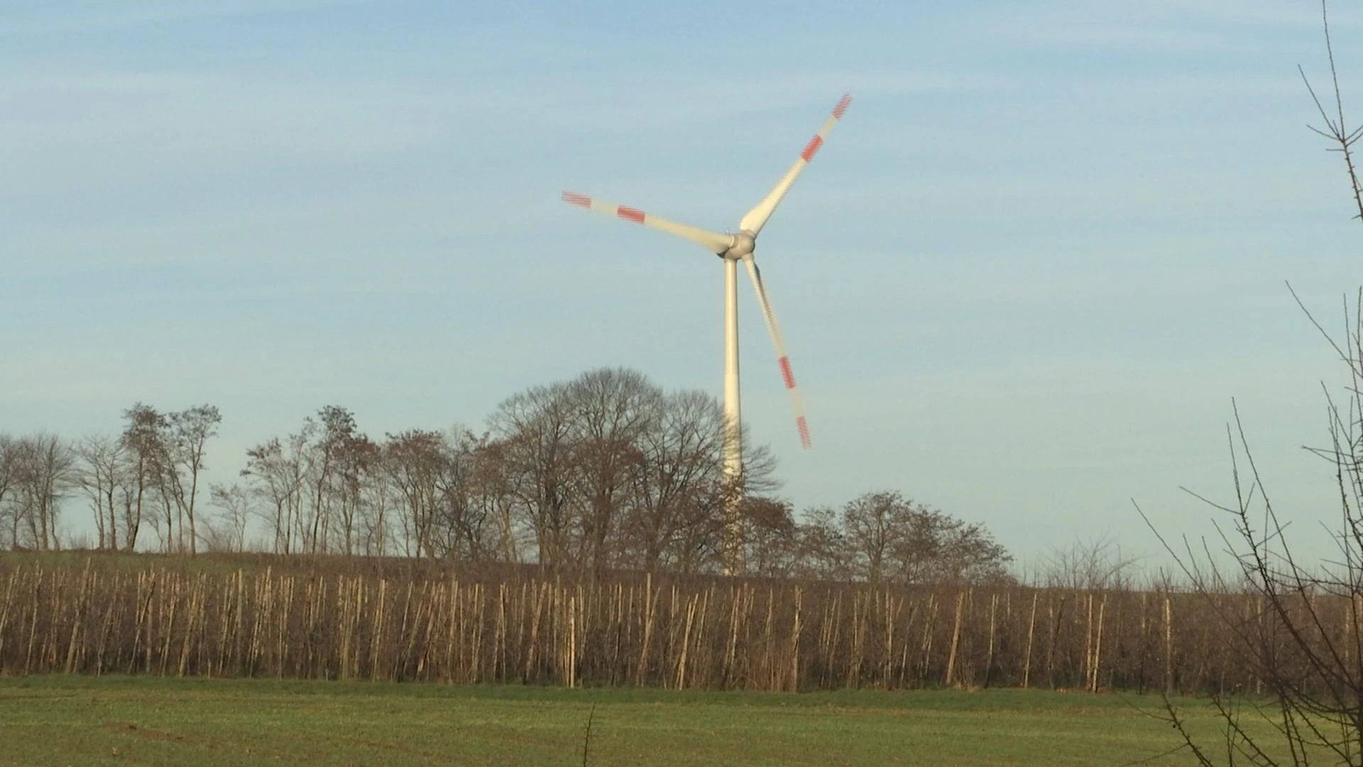 Ministers Demir en Diependaele in beroep tegen windmolens op grens met Voeren