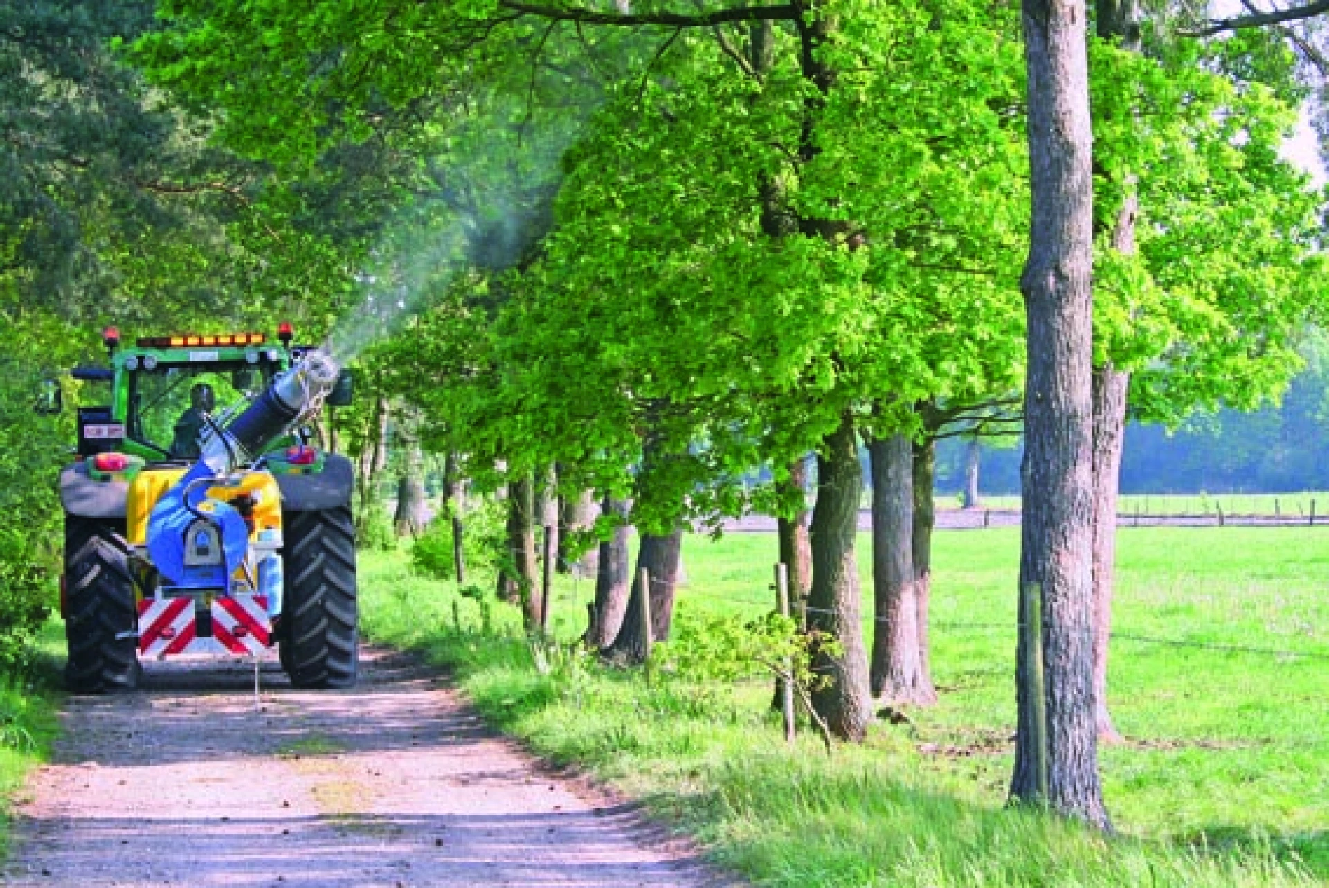 Overpelt start met verdelging processierupsen