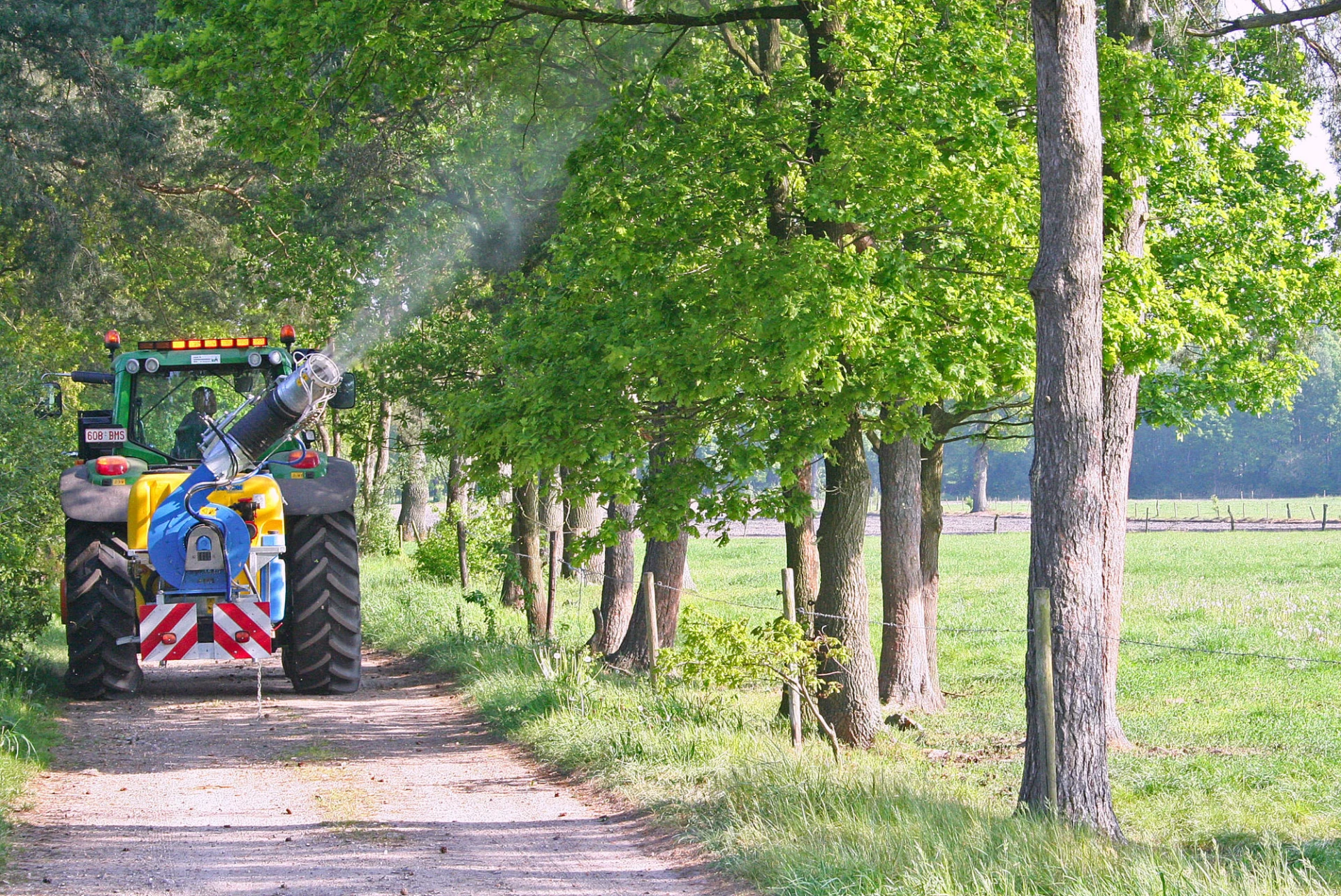Overpelt start met preventieve verdelging van de processierups