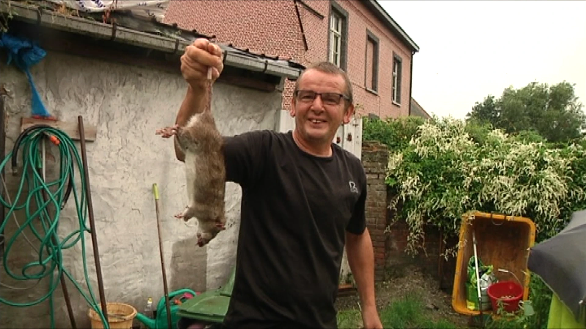 Last van ratten? Zo hou je ze uit je tuin!