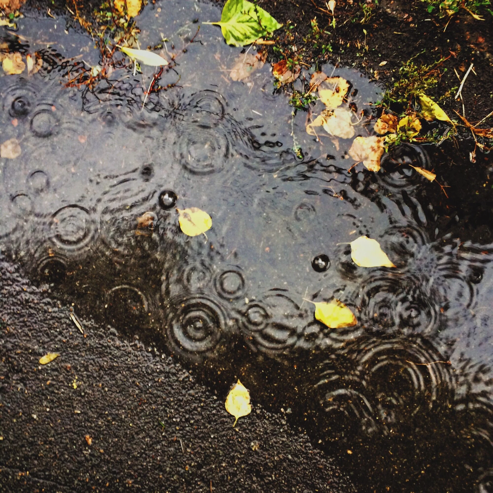 Nazomer maakt plaats voor herfstweer