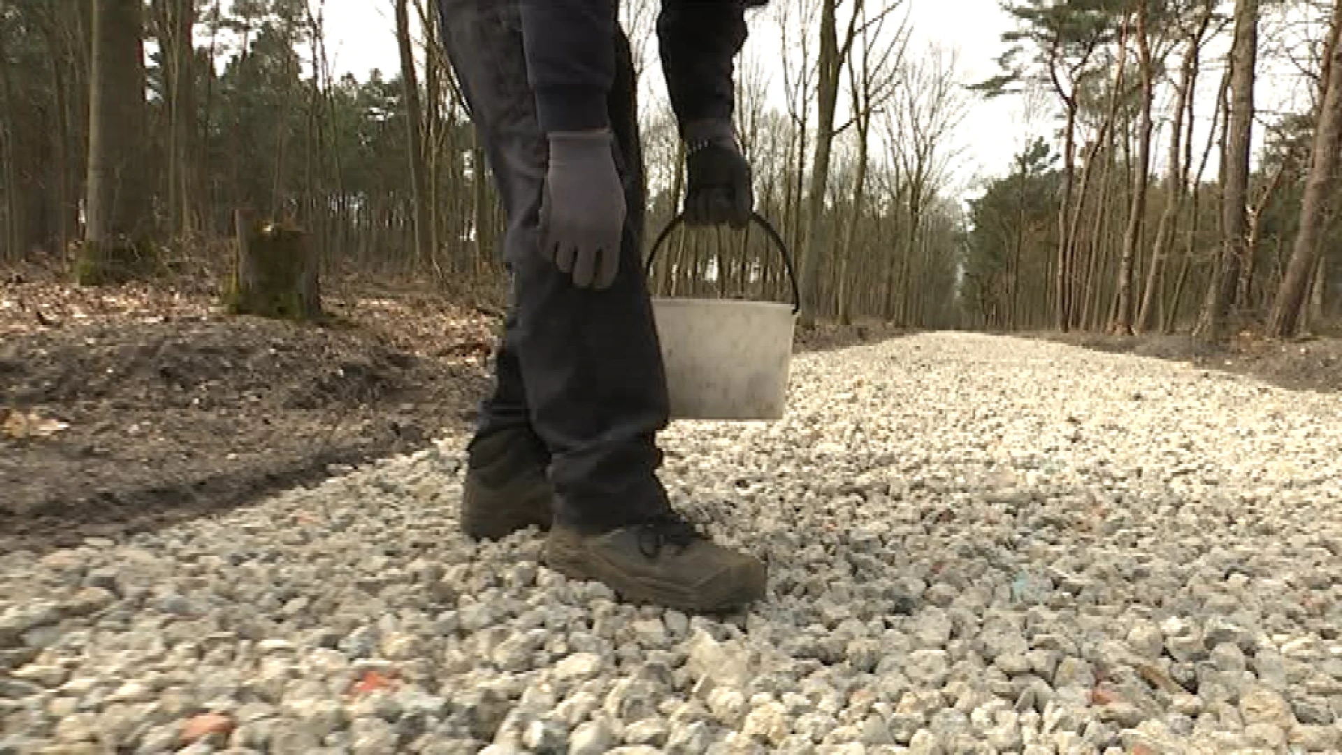 Bilzen laat werken in Bossen van Schoonbeek stilleggen