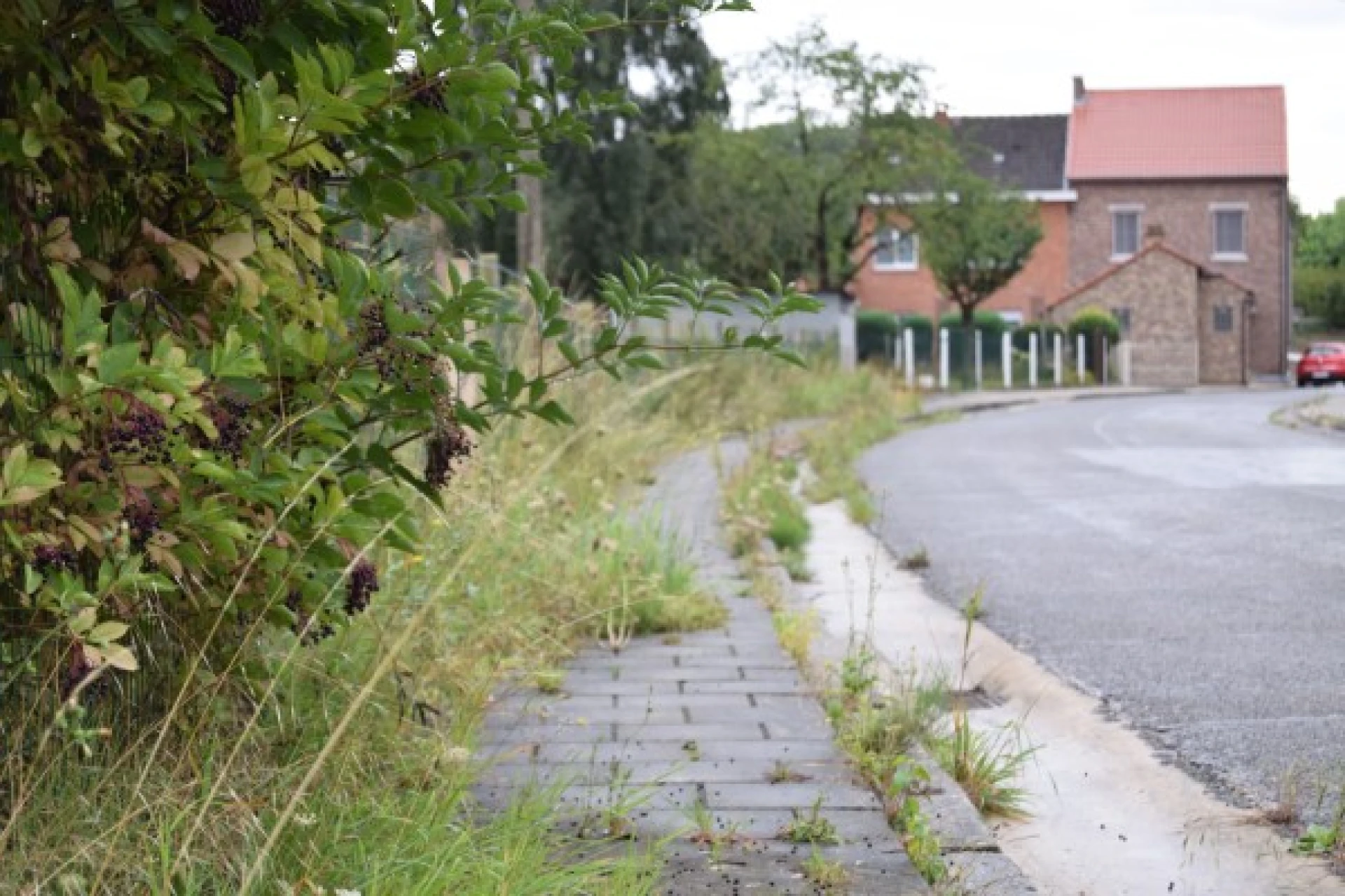 "Verbod op pesticidegebruik kan geen excuus zijn!"