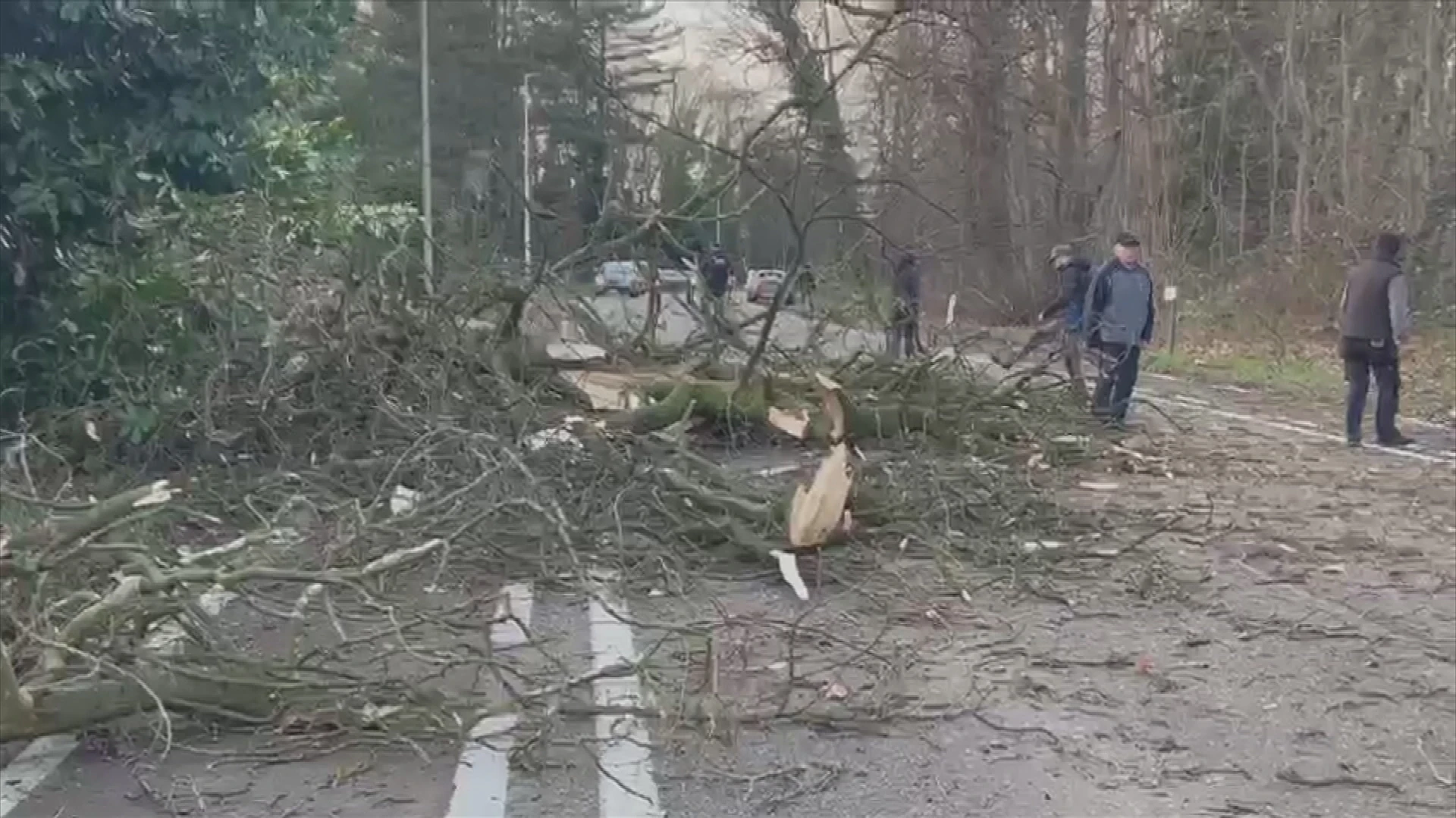 Eunice raast door Limburg: wat te doen voor/tijdens en na een storm?