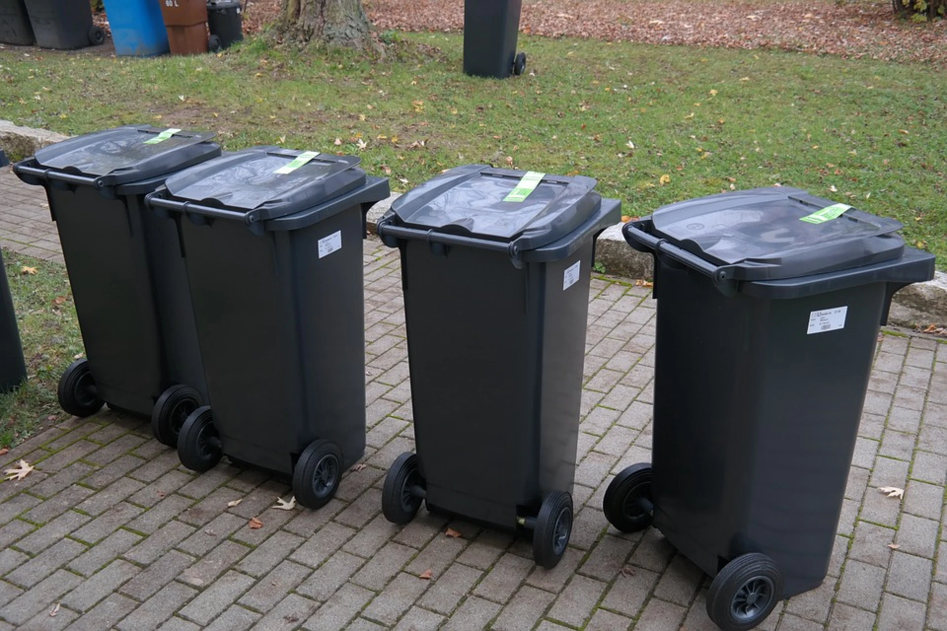 Ophaling huisvuil in Hasselt wordt goedkoper voor alleenstaanden