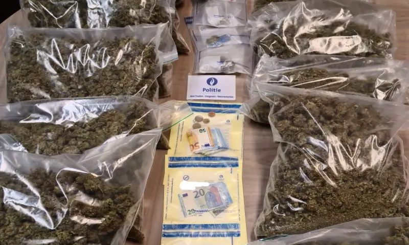 Politie vindt 10 kilo cannabis bij huiszoeking in Sint-Truiden