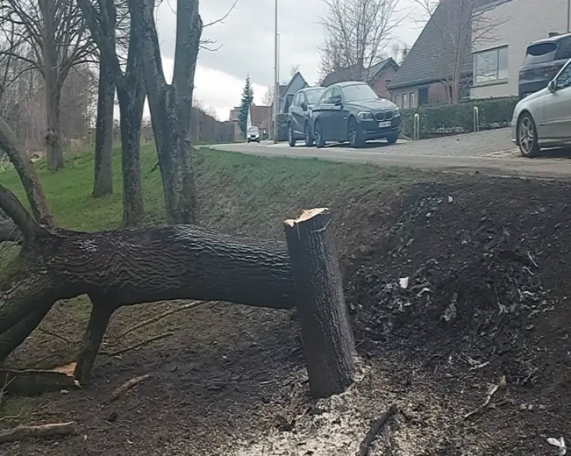 Passagier in Porsche met dronken bestuurder komt om in brandende auto