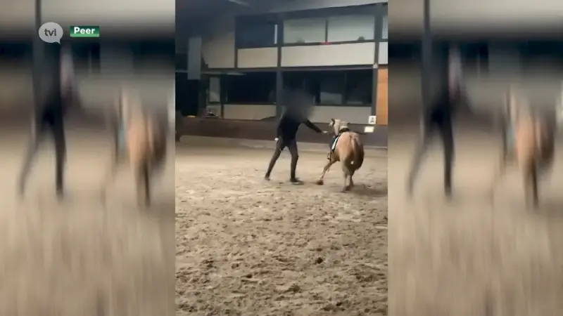 Lesgever Breugelhoeve die pony mishandelde mag drie jaar geen paarden meer houden