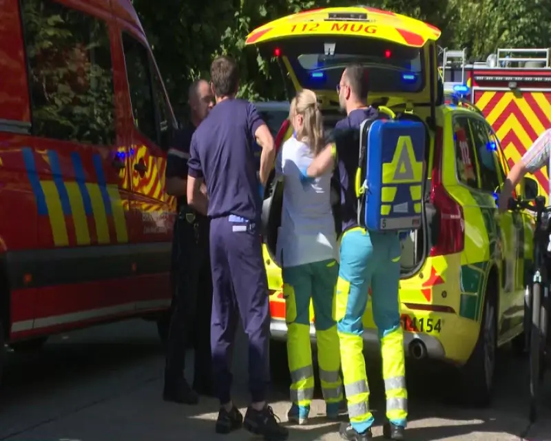 Vliegtuigje neergestort in Hasselt: hulpdiensten massaal uitgerukt