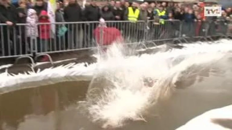 Nieuwjaarsduik in Lommel
