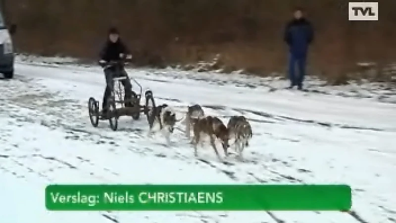 Bilzenaar bereidt zich voor op EK sledehondenrace