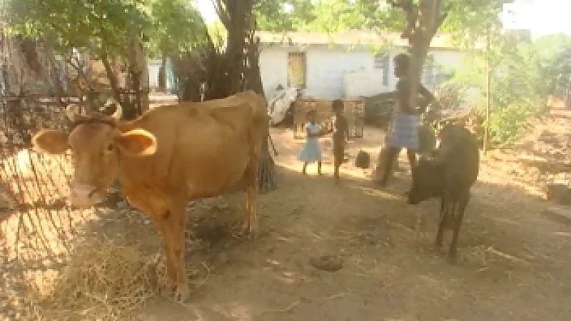 Limburgse leerlingen op Damiaanreis India: deel 2