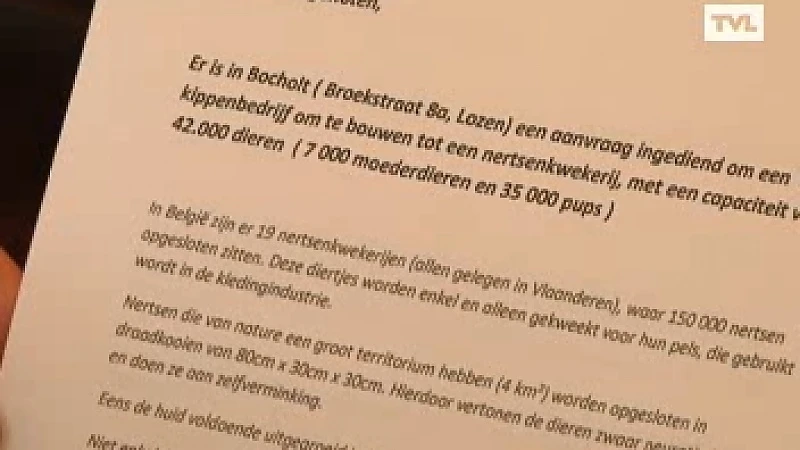 Negatief advies Bocholt tegen komst nertsenkwekerij