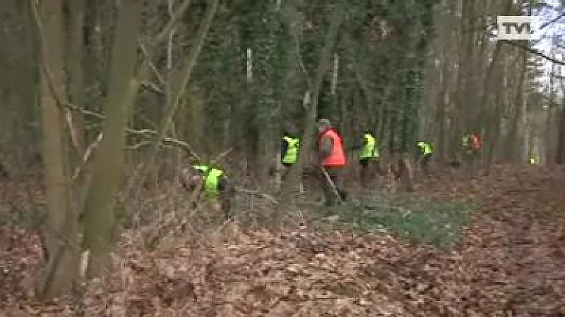 Everzwijnenjacht Bilzen geen succes