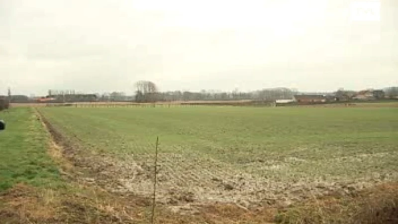 Boeren planten inheemse bomen