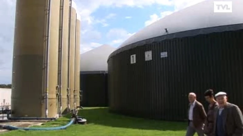 Herkse varkensboer moet biogasinstallatie stilleggen